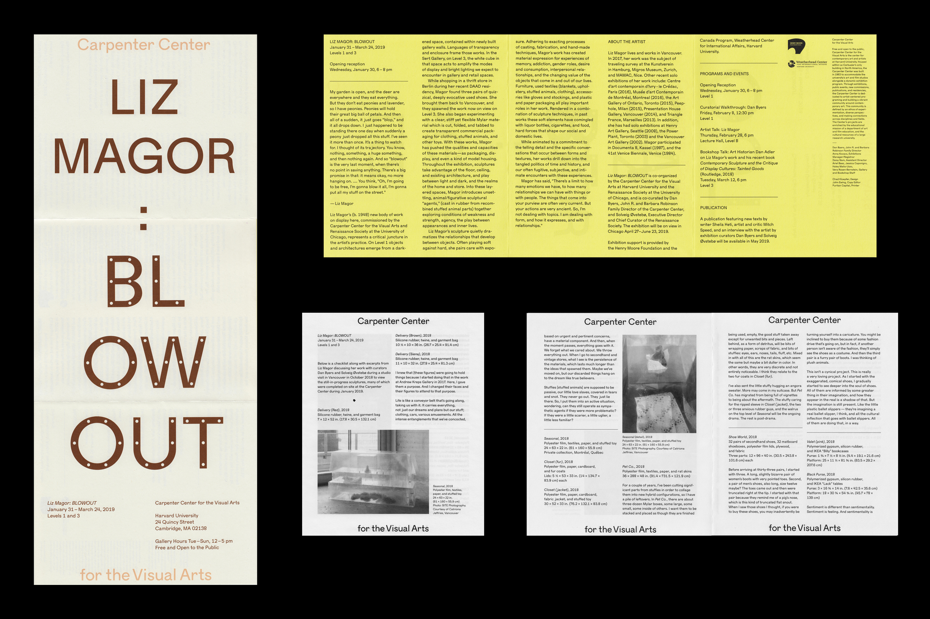 *Liz Magor: Blowout*, gallery guide, Carpenter Center for the Visual Arts, Harvard Unviersity, 2019