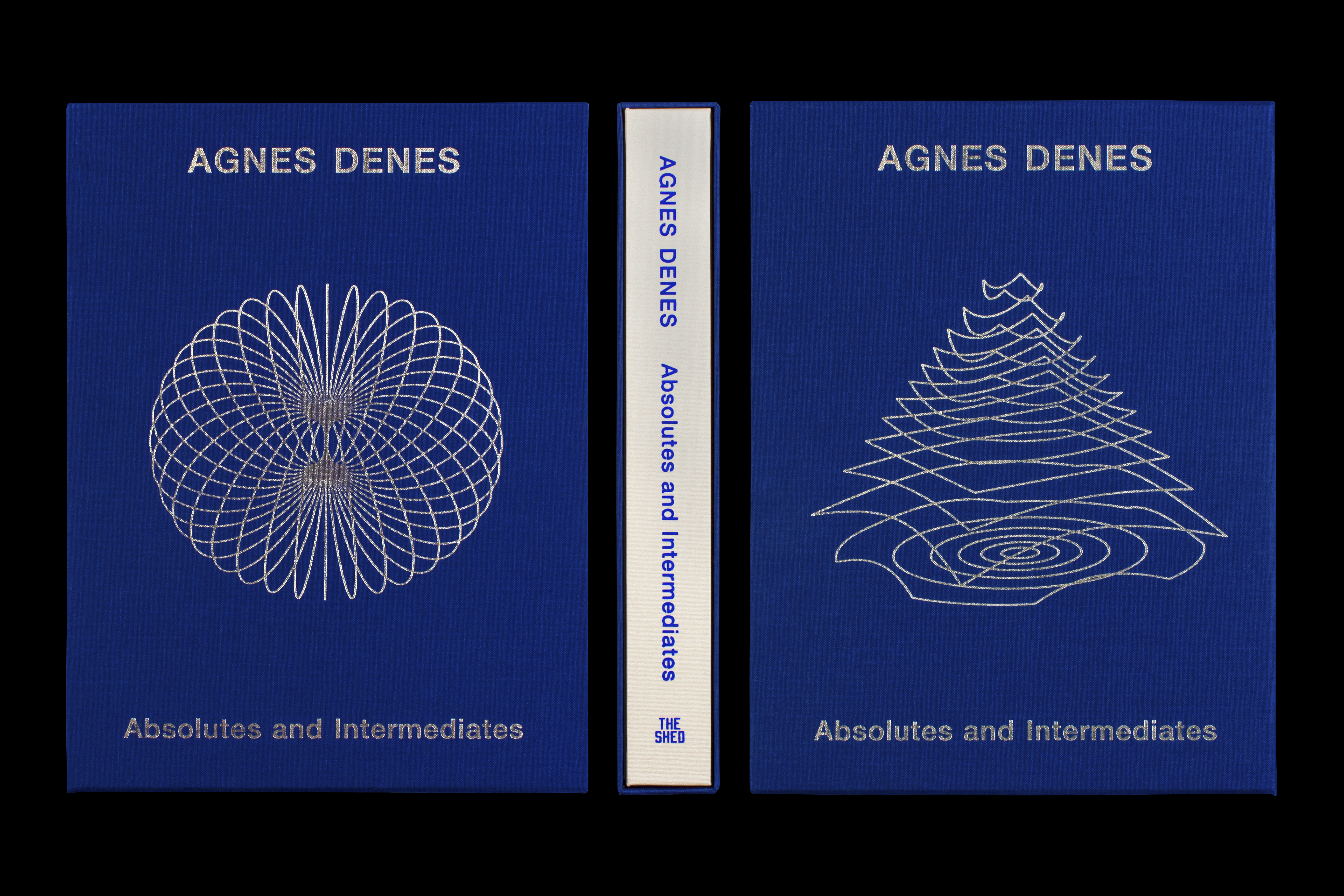 *Agnes Denes: Absolutes and Intermediates*, hardcover with slipcase, 384 pages, 9.5 × 12.2 in., edited by Emma Enderby, published by The Shed, 2019
