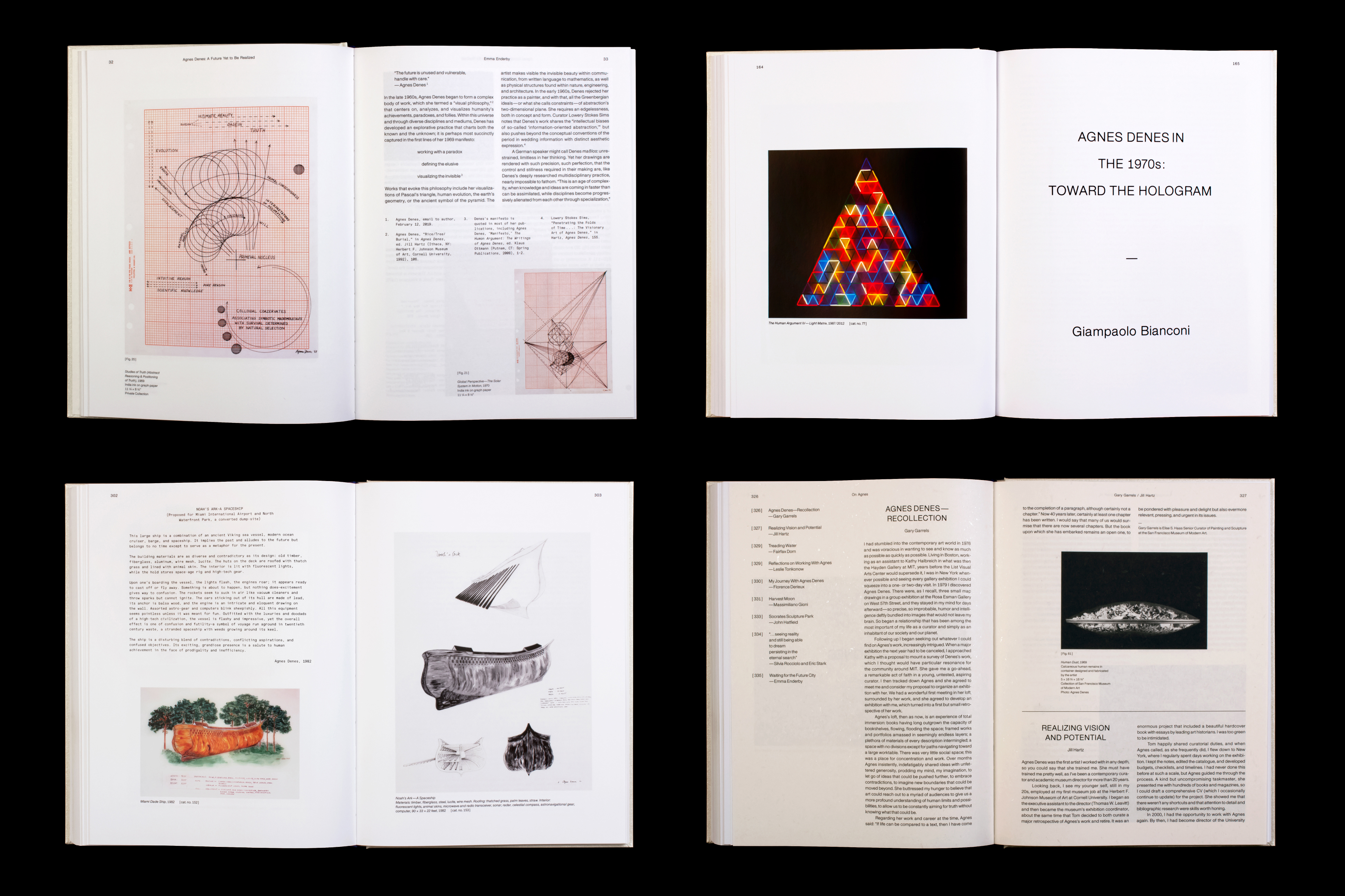 *Agnes Denes: Absolutes and Intermediates*, hardcover with slipcase, 384 pages, 9.5 × 12.2 in., edited by Emma Enderby, published by The Shed, 2019